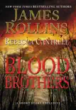 Blood Brothers synopsis, comments