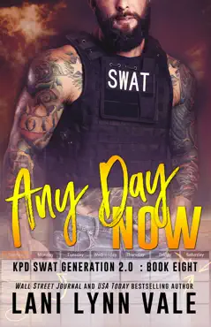 any day now book cover image