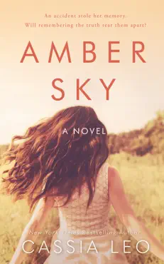 amber sky book cover image