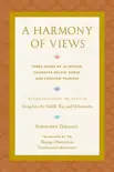 A Harmony of Views synopsis, comments