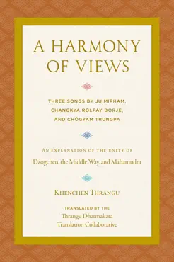 a harmony of views book cover image