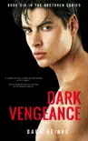Dark Vengeance synopsis, comments