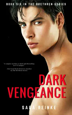 dark vengeance book cover image