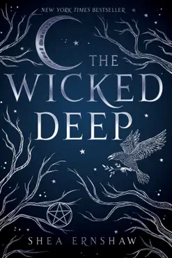 the wicked deep book cover image