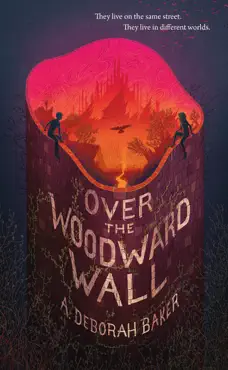 over the woodward wall book cover image