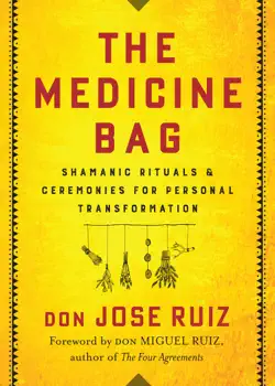 the medicine bag book cover image
