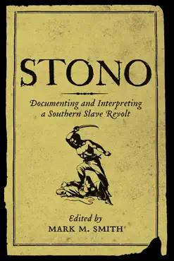 stono book cover image