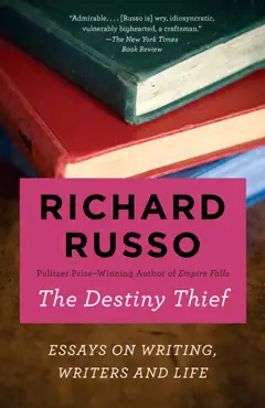 the destiny thief book cover image