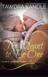 The Meant To Be One book summary, reviews and download