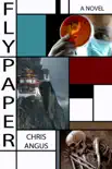 Flypaper synopsis, comments