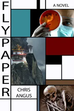 flypaper book cover image