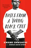 Notes from a Young Black Chef synopsis, comments