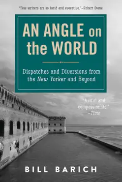 an angle on the world book cover image
