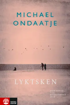 lyktsken book cover image