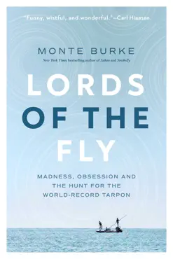 lords of the fly book cover image