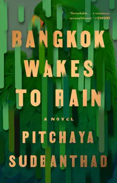 bangkok wakes to rain imagen de la portada del libro