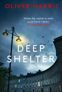 deep shelter imagen de la portada del libro