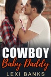 Cowboy Baby Daddy book summary, reviews and download
