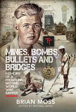 mines, bombs, bullets and bridges book cover image