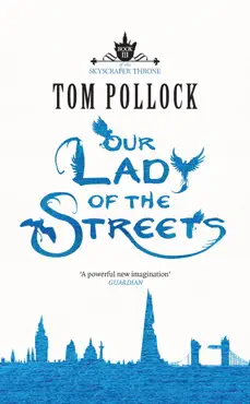 our lady of the streets book cover image