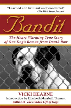 bandit book cover image
