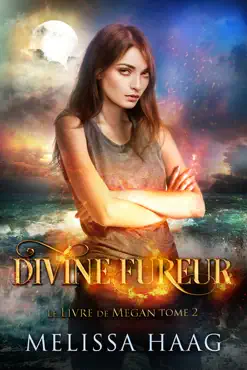 divine fureur book cover image