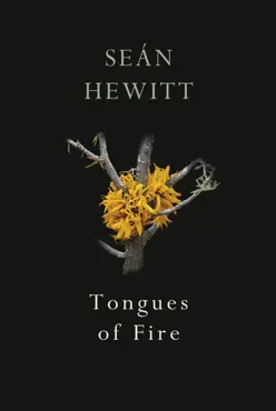 tongues of fire book cover image