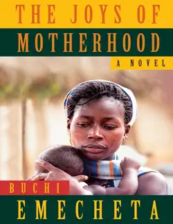 the joys of motherhood book cover image