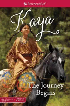 the journey begins book cover image