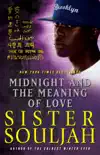 Midnight and the Meaning of Love e-book