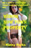Widow Now Town Property synopsis, comments