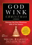 Godwink Christmas Stories synopsis, comments
