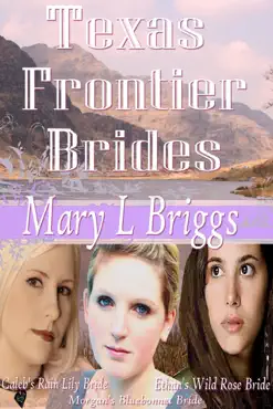 texas frontier brides (volumes 1-3 & a bride for hannigan) book cover image