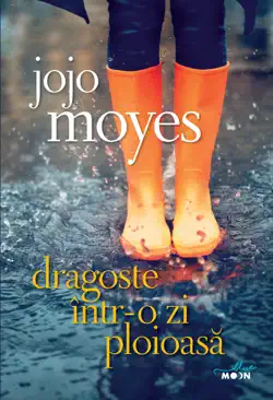 dragoste într-o zi ploioasă book cover image