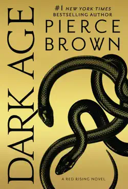 dark age book cover image