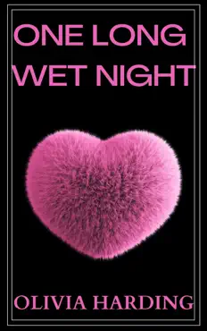 one long wet night book cover image