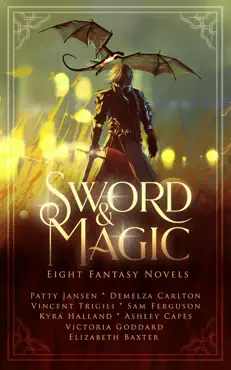 sword & magic book cover image