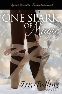 one spark of magic book cover image