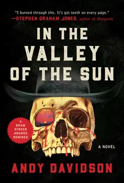 in the valley of the sun book cover image