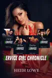 Service Girl Chronicles synopsis, comments
