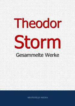 theodor storm book cover image