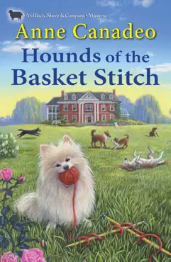 hounds of the basket stitch book cover image
