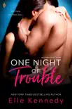 One Night of Trouble e-book