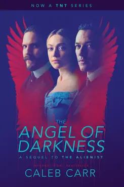 the angel of darkness: book 2 of the alienist book cover image