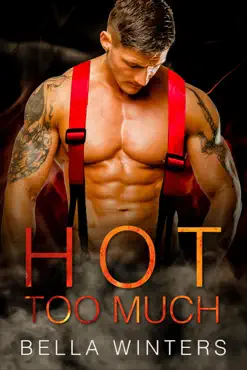 hot too much book cover image
