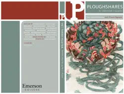 ploughshares summer 2019 guest-edited by viet thanh nguyen book cover image