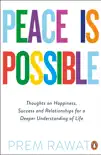 Peace Is Possible synopsis, comments