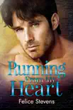 Running From My Heart synopsis, comments