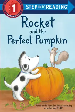 rocket and the perfect pumpkin book cover image