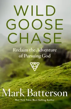 wild goose chase book cover image